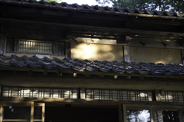 木漏れ日が当たる壁