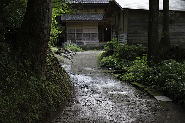 家への小径