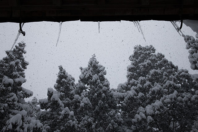 つららと雪