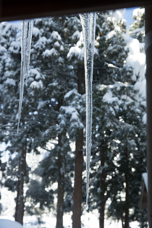 icicle