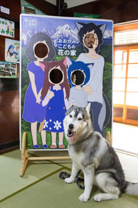 photo