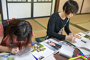 photo
