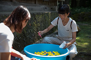 photo