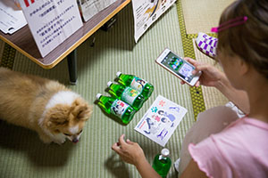 photo