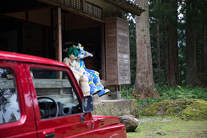 photo