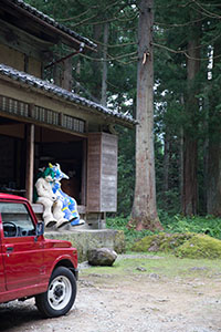 photo