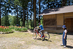 photo