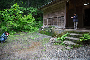 photo