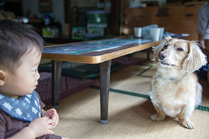 photo