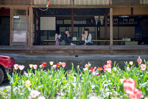 photo