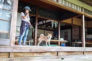 photo