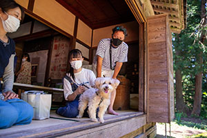 photo