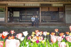 photo