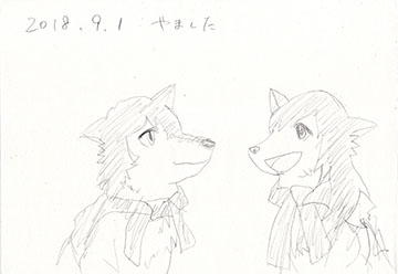 photo
