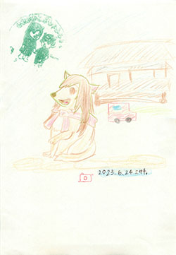 photo