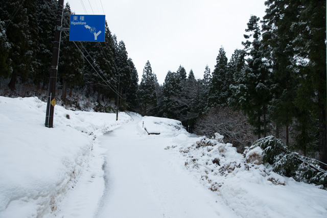 雪の分かれ道