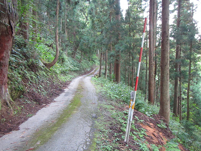 種からの道