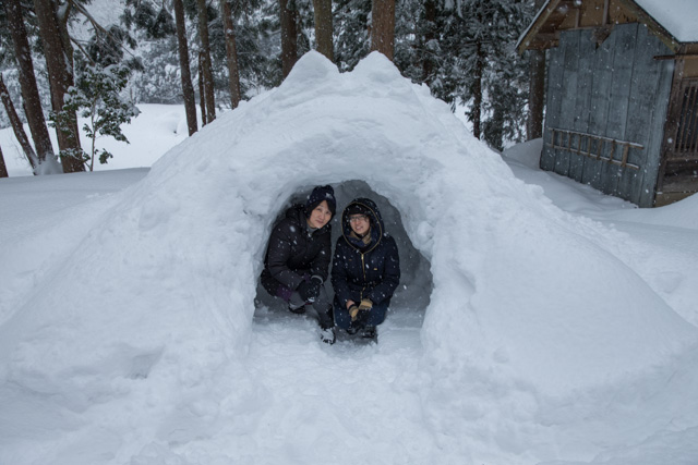 おひろめかいしゃしん