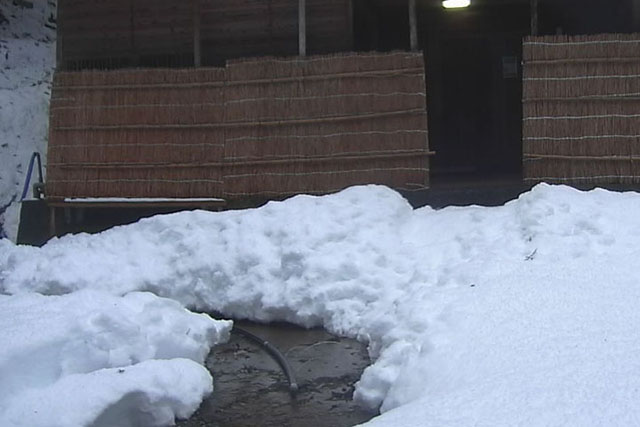 融雪水で融けた雪