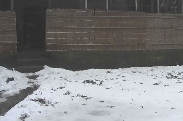 降雪ムービーイメージ