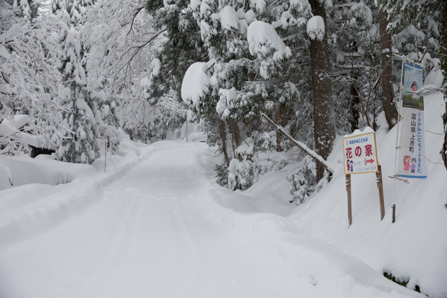 お家前の道路の様子