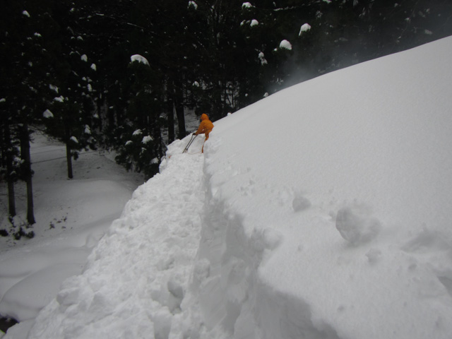端の雪を落とす