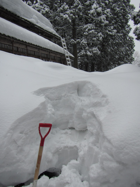 お庭の降り積もった雪