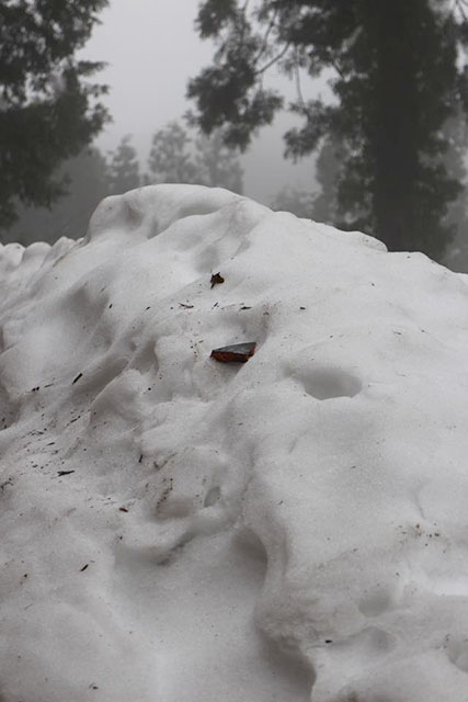 雪のなかに落ちたカケラ