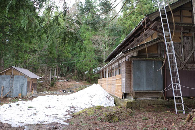 庭の雪を南側から見る