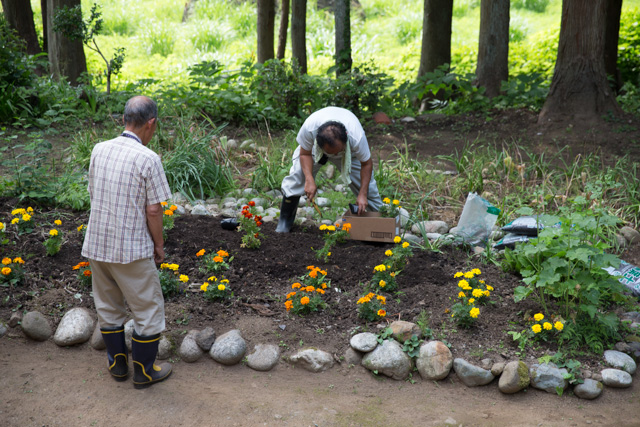 花壇にローズマリーを植える