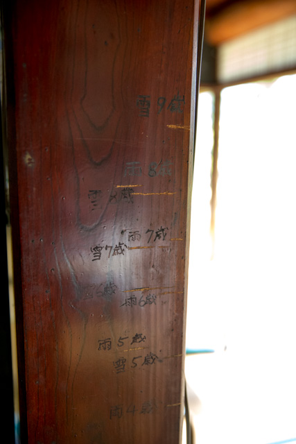 背比べの柱