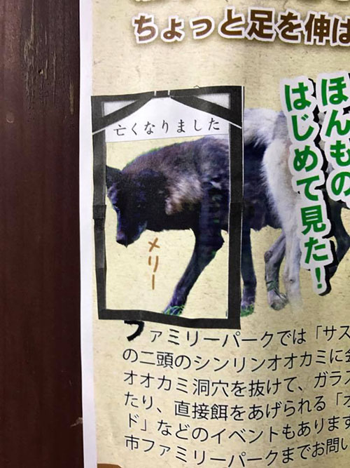 ファミリーパークおおかみ亡くなる