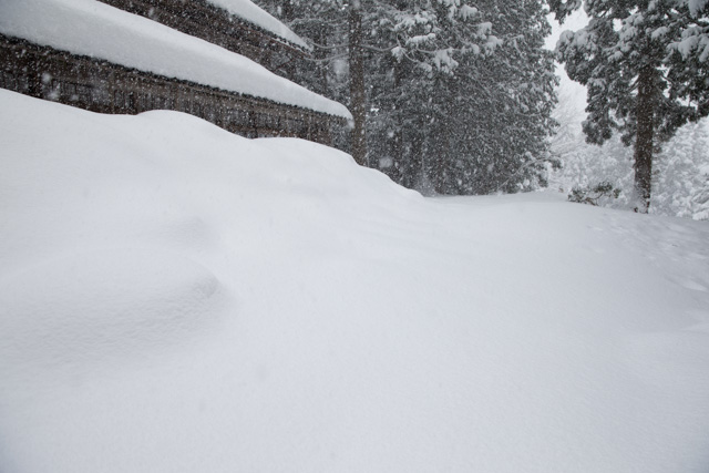 雪のおにわ