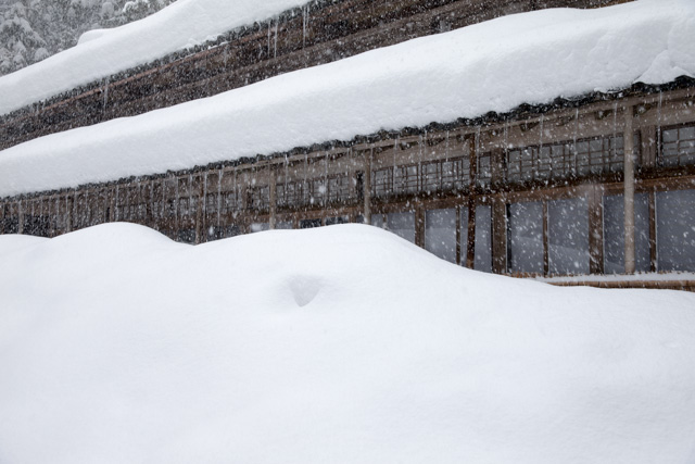 雪のお庭