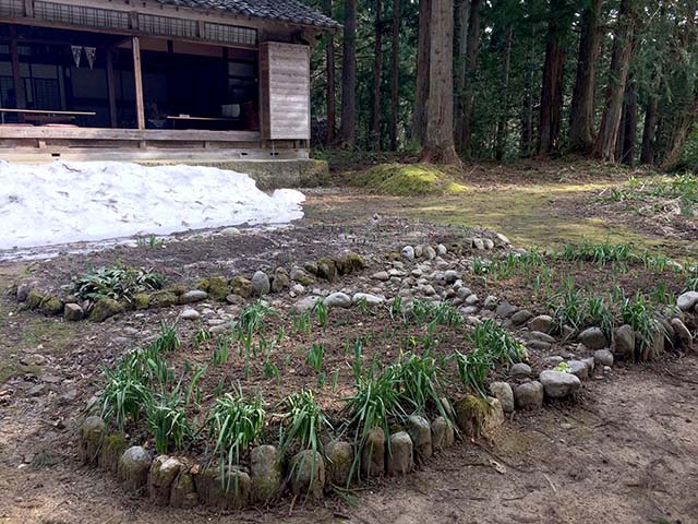 お庭の花壇