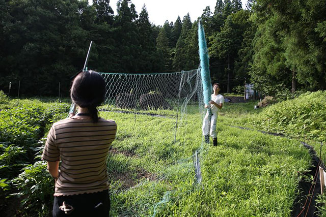 サル網を伸ばしている二人