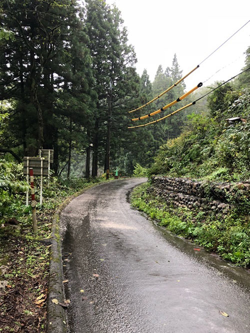 元通りになった道路