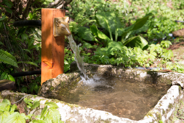 鹿の蛇口から水が出る