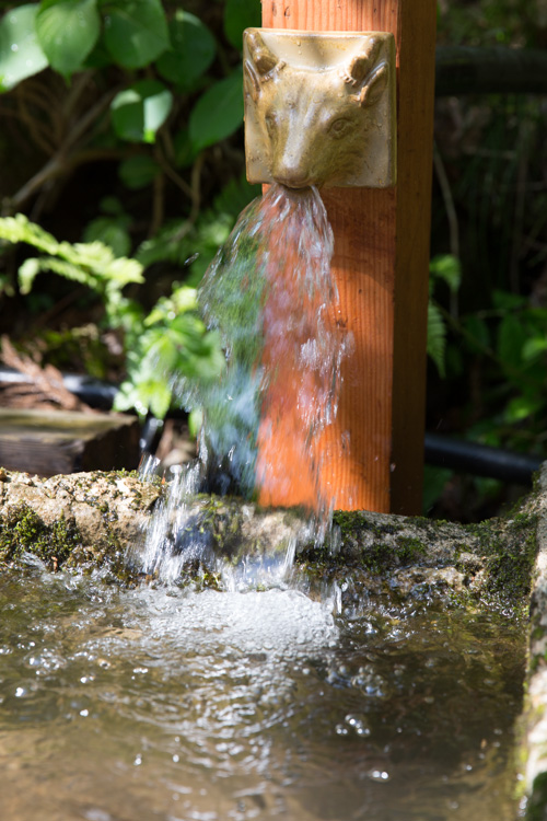 鹿の口から水が出る