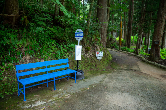バス停おうちの小道入り口