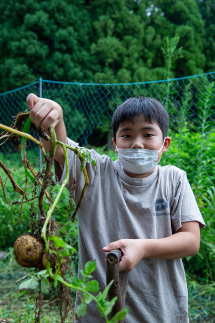 とれたジャガイモを見せる男の子