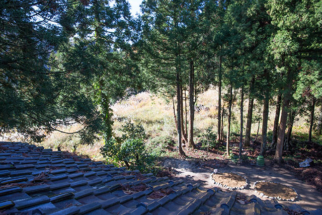 roof