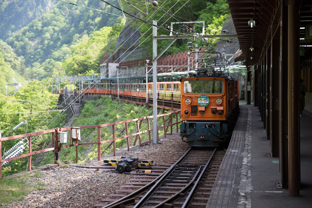 トロッコ列車全景