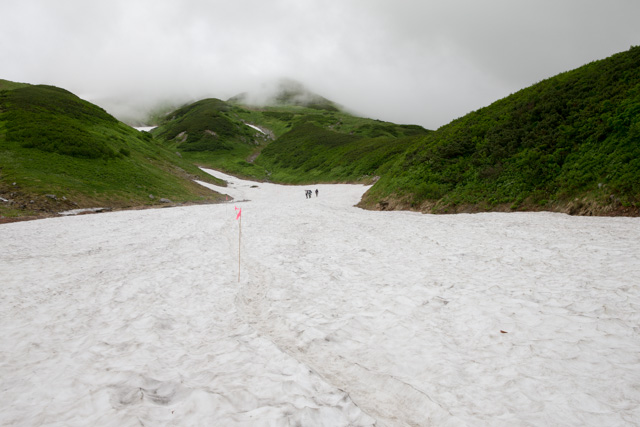 残る雪