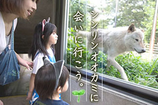 t@~[p[N݃|X^[